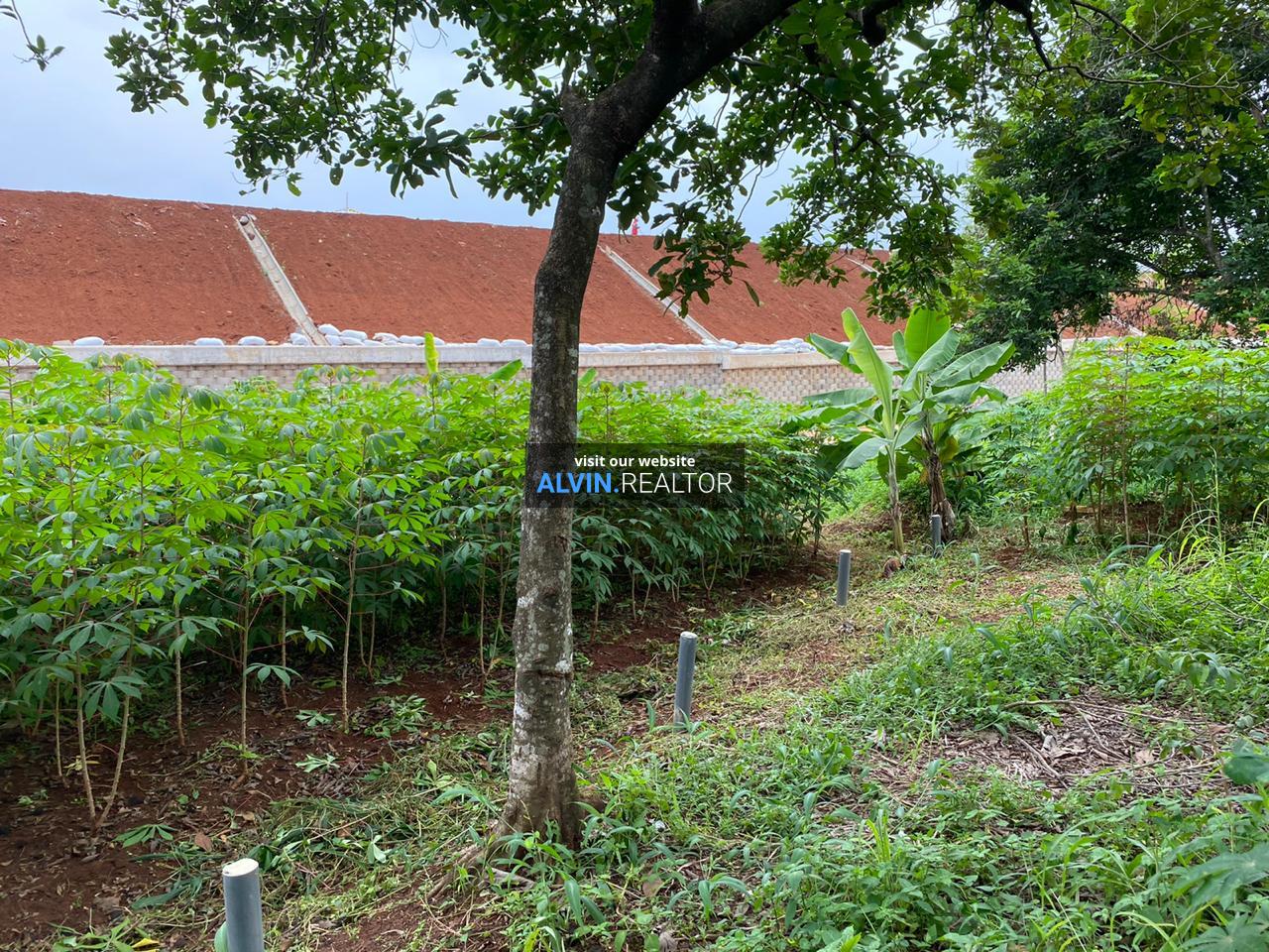 WhatsApp Image 2022-08-15 at 2.40.37 PM