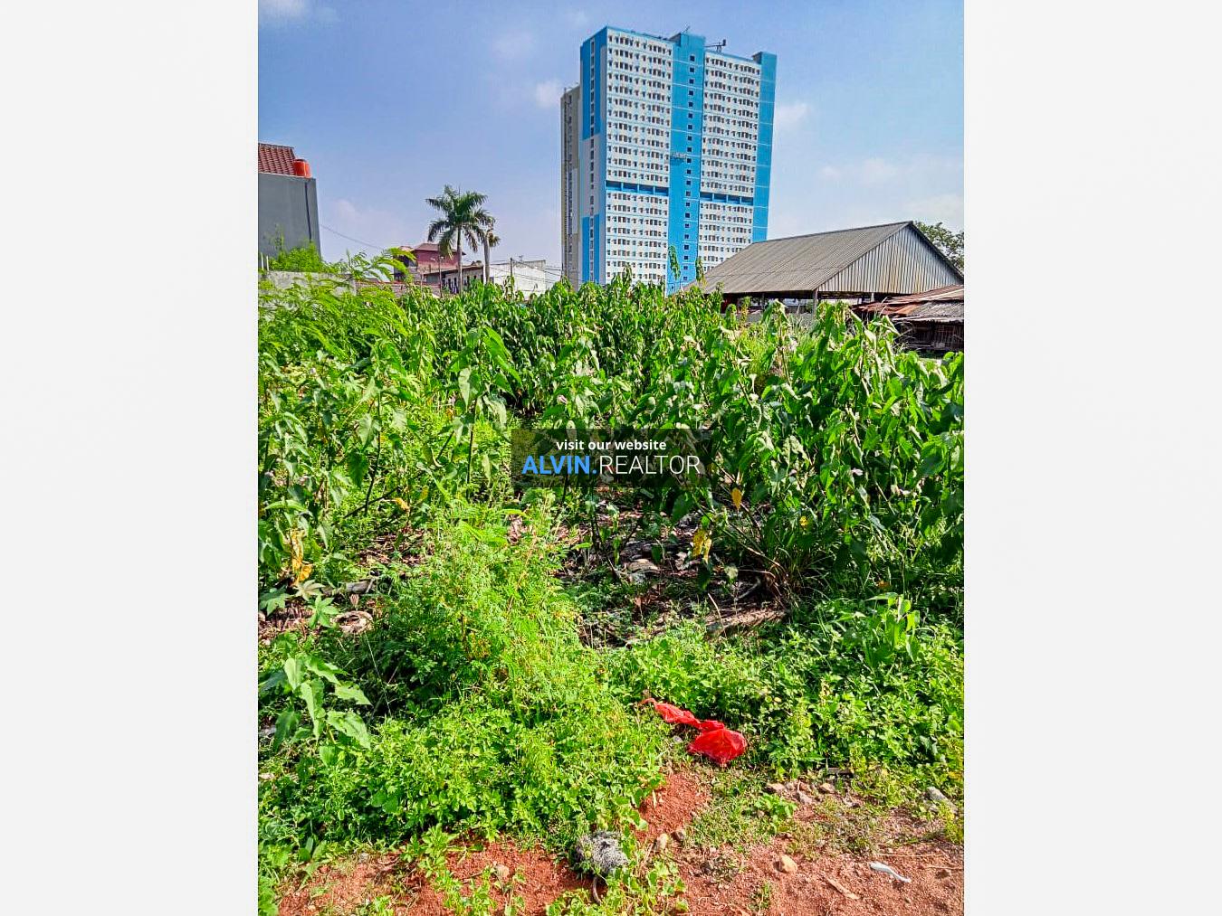 WhatsApp Image 2022-08-21 at 3.41.14 PM