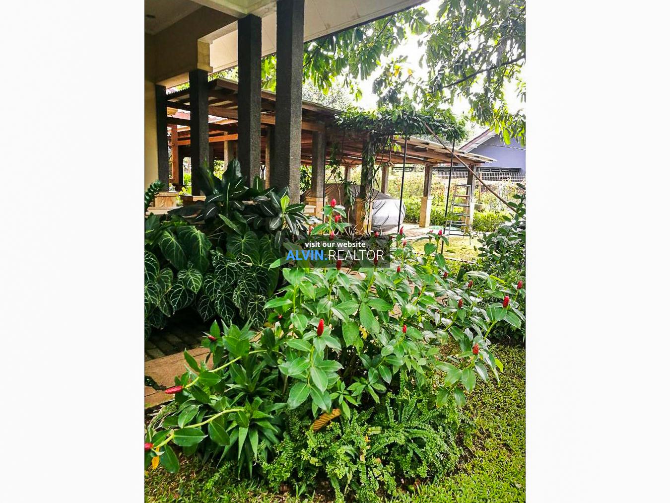 WhatsApp Image 2022-11-13 at 7.08.49 PM