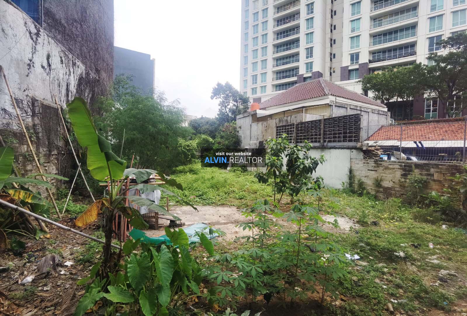 WhatsApp Image 2023-01-13 at 17.39.40